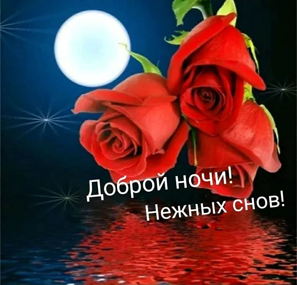 Доброй ночи с розами