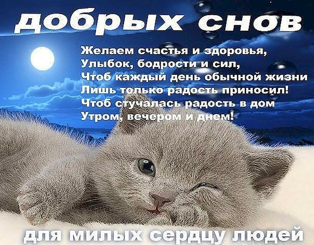 Доброй ночи сладких снов