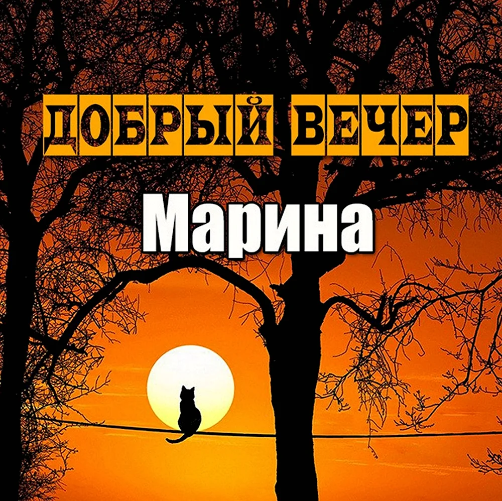 Добрый вечер Марина