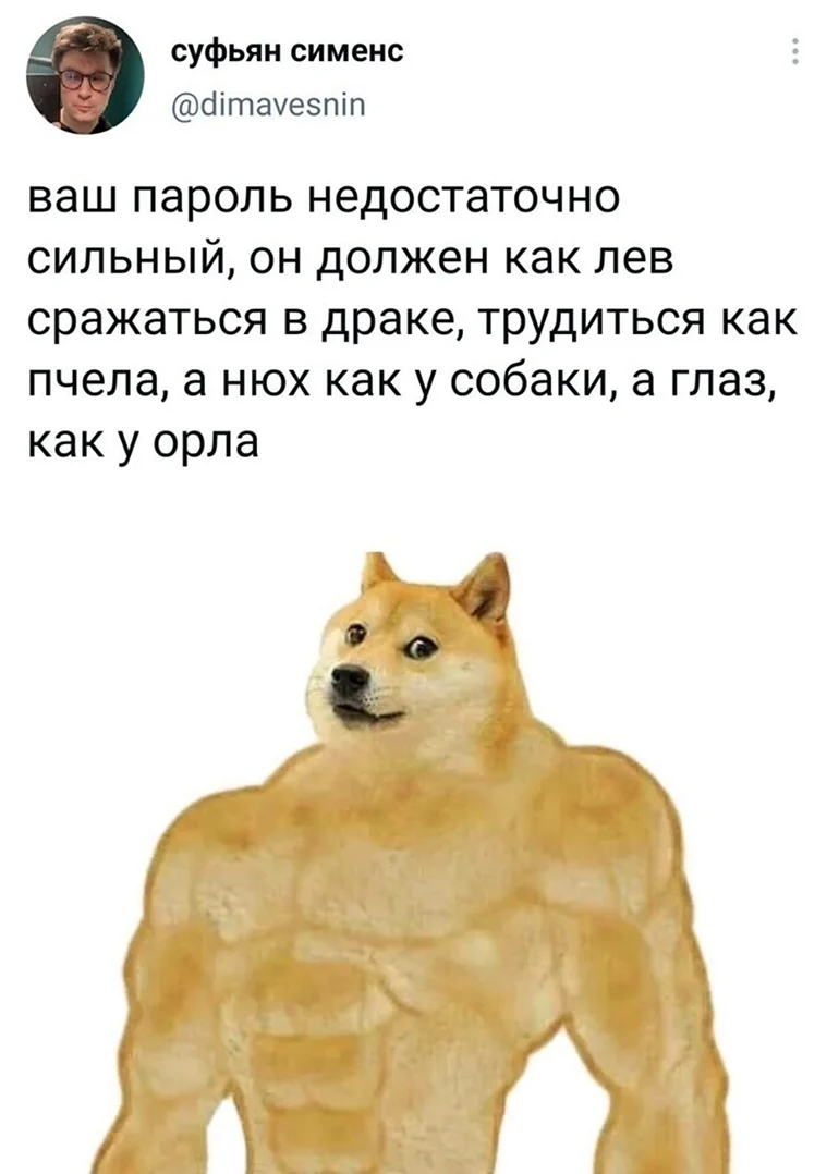 Doge качок