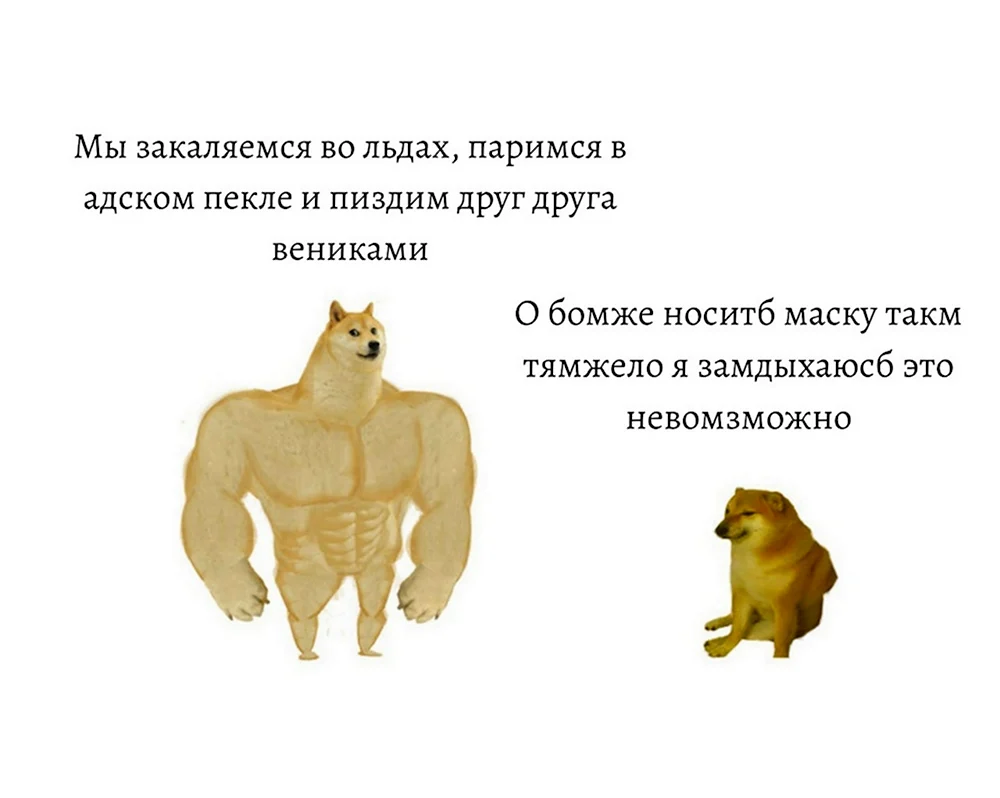 Doge meme качок