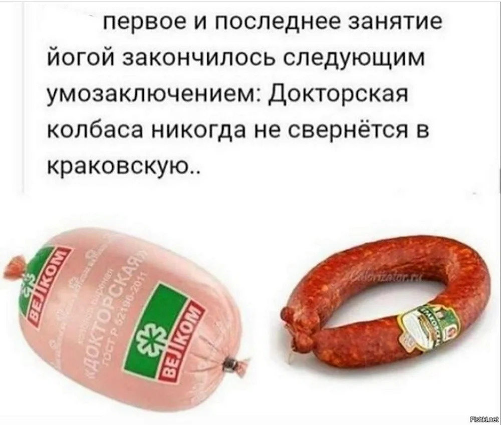 Докторская никогда не станет Краковской