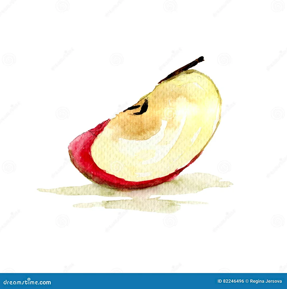 Долька яблока акварелью