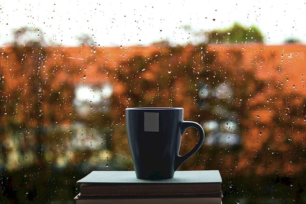 Дождь и кофе
