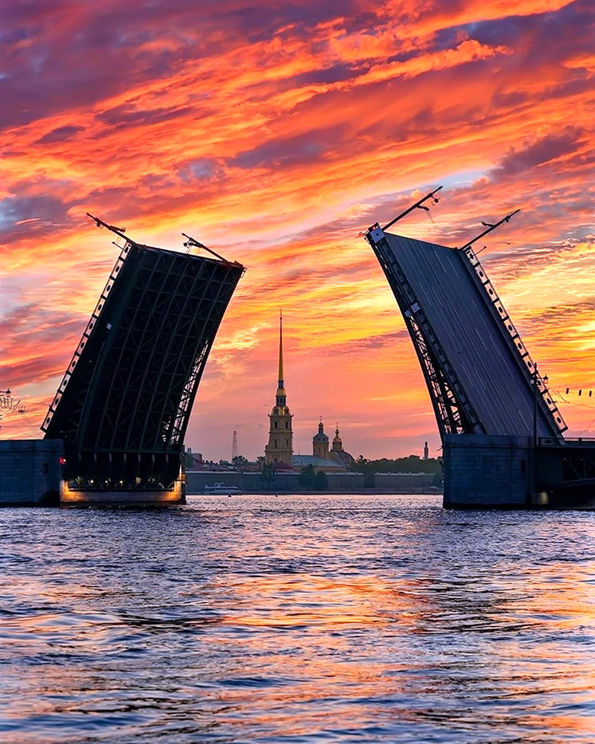 Что такое белые ночи в санкт петербурге. Дворцовый мост в Санкт-Петербурге. Белые ночи Санкт-Петербург. Питер разводной мост Петропавловская крепость.