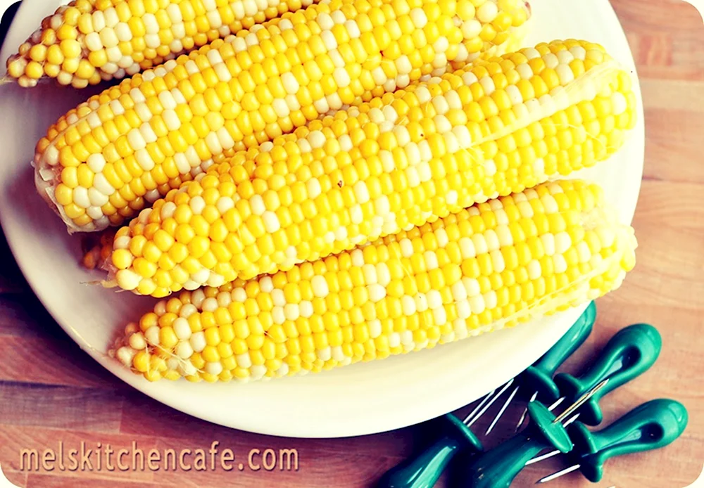 Двухцветная кукуруза