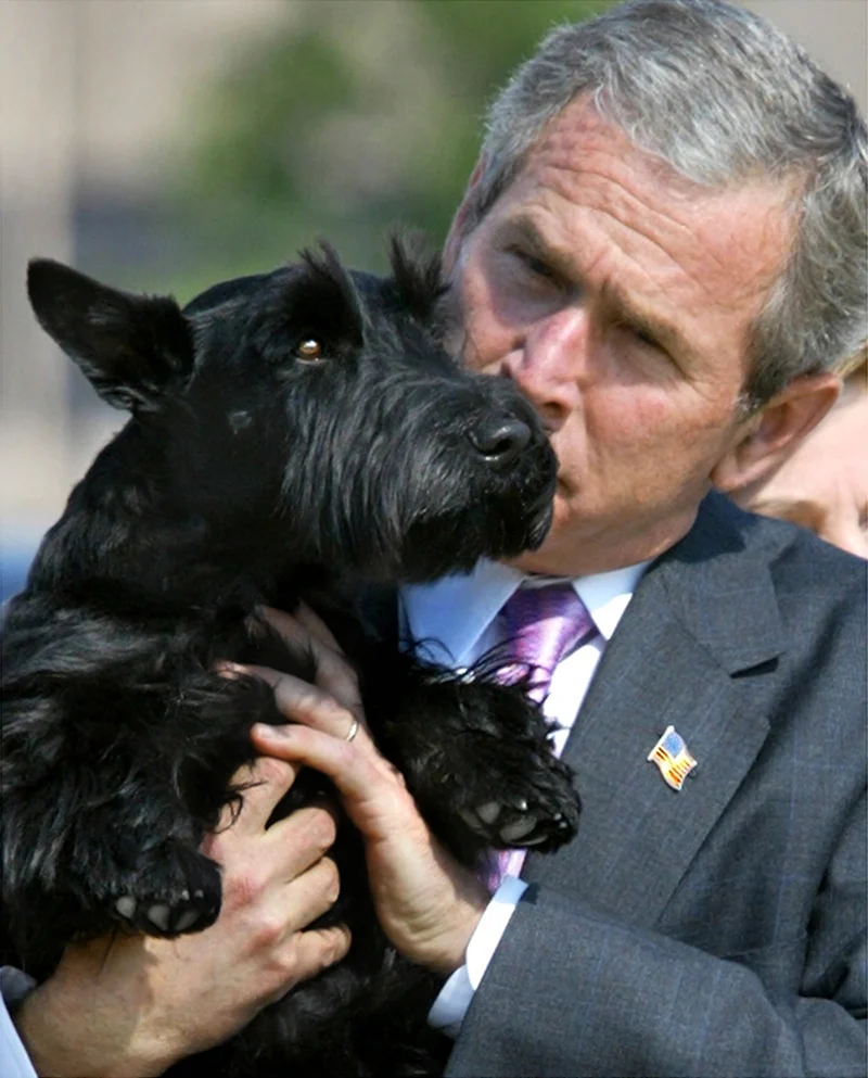 Джордж Буш собака Барни