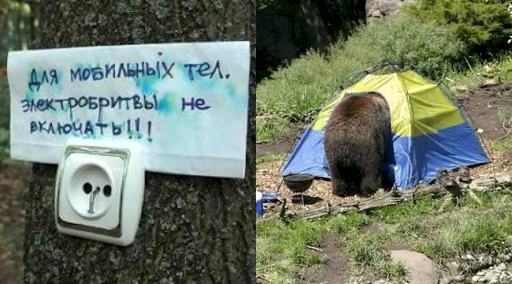 Еда в походе шутка