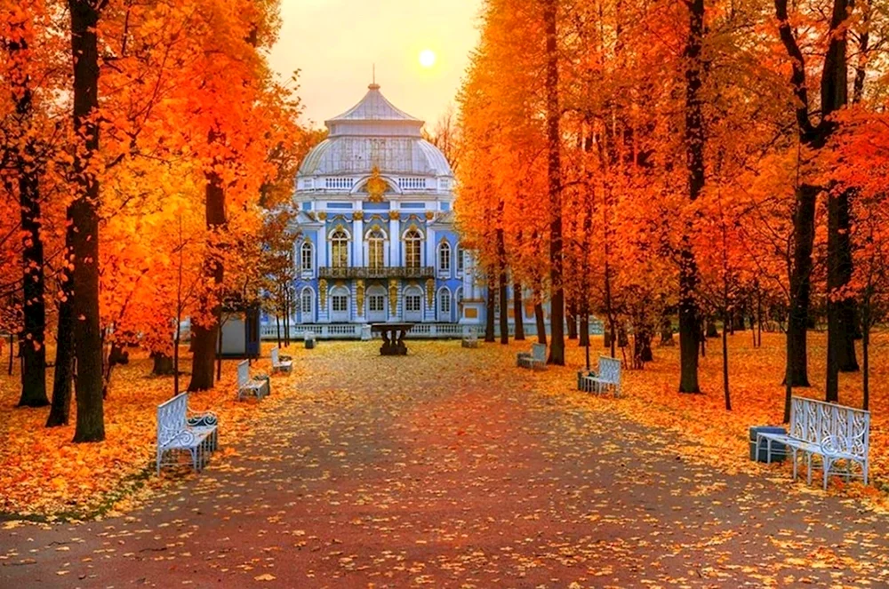 Екатерининский сквер осень Питер