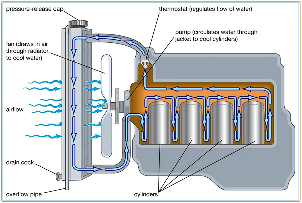 Engine Cooling System 3ыпу