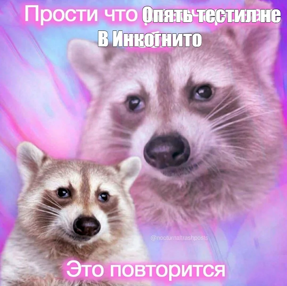 Енот умоляет