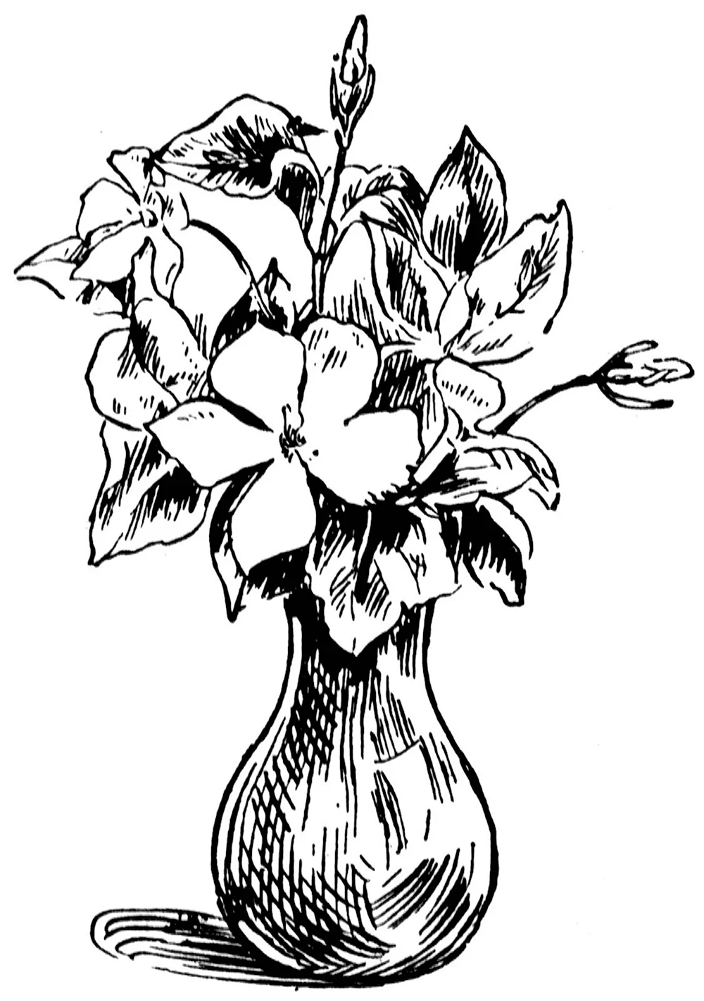 Эскиз вазы в цвете