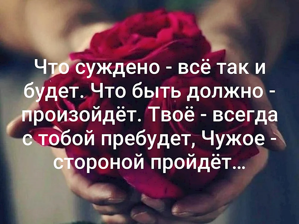 Если суждено цитаты