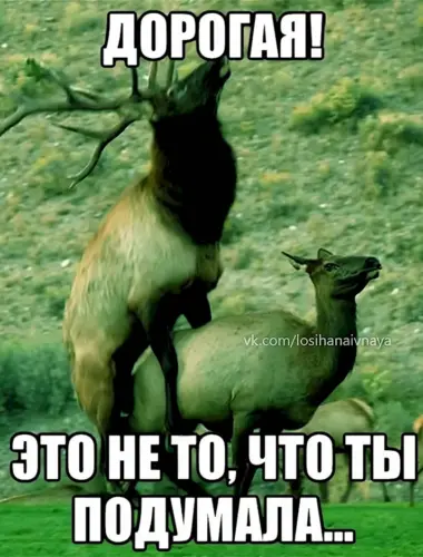 Это не т ОЧТ оты подумалт