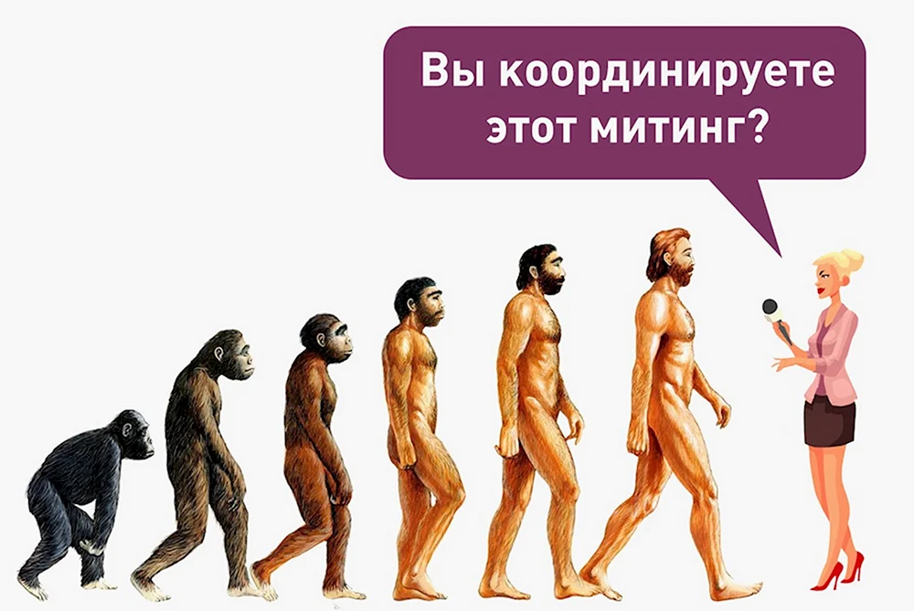 Эволюция человека Дарвина цепочка
