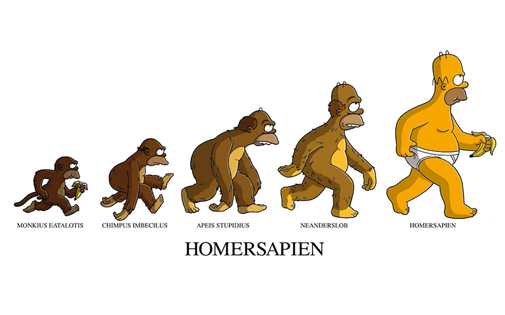 Эволюция Гомера Симпсона