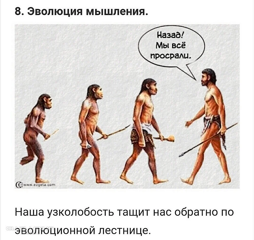 Эволюция прикол