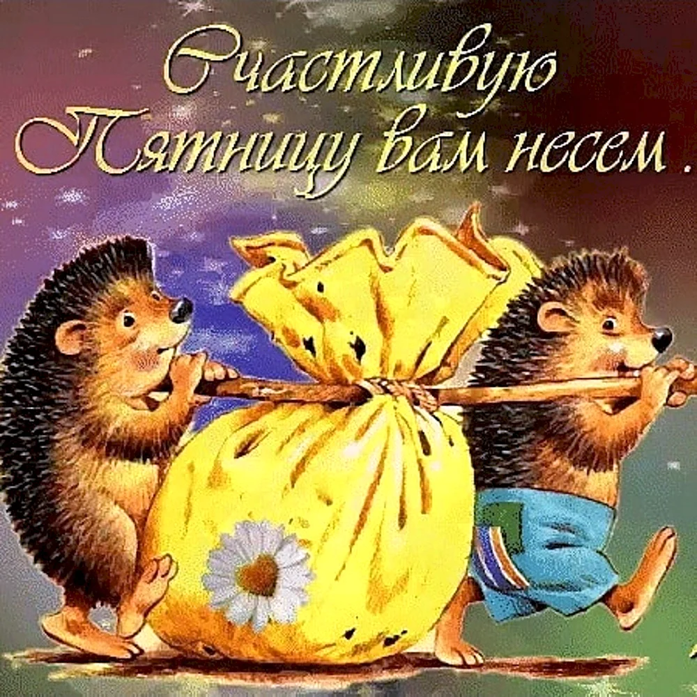 Ежик пятница