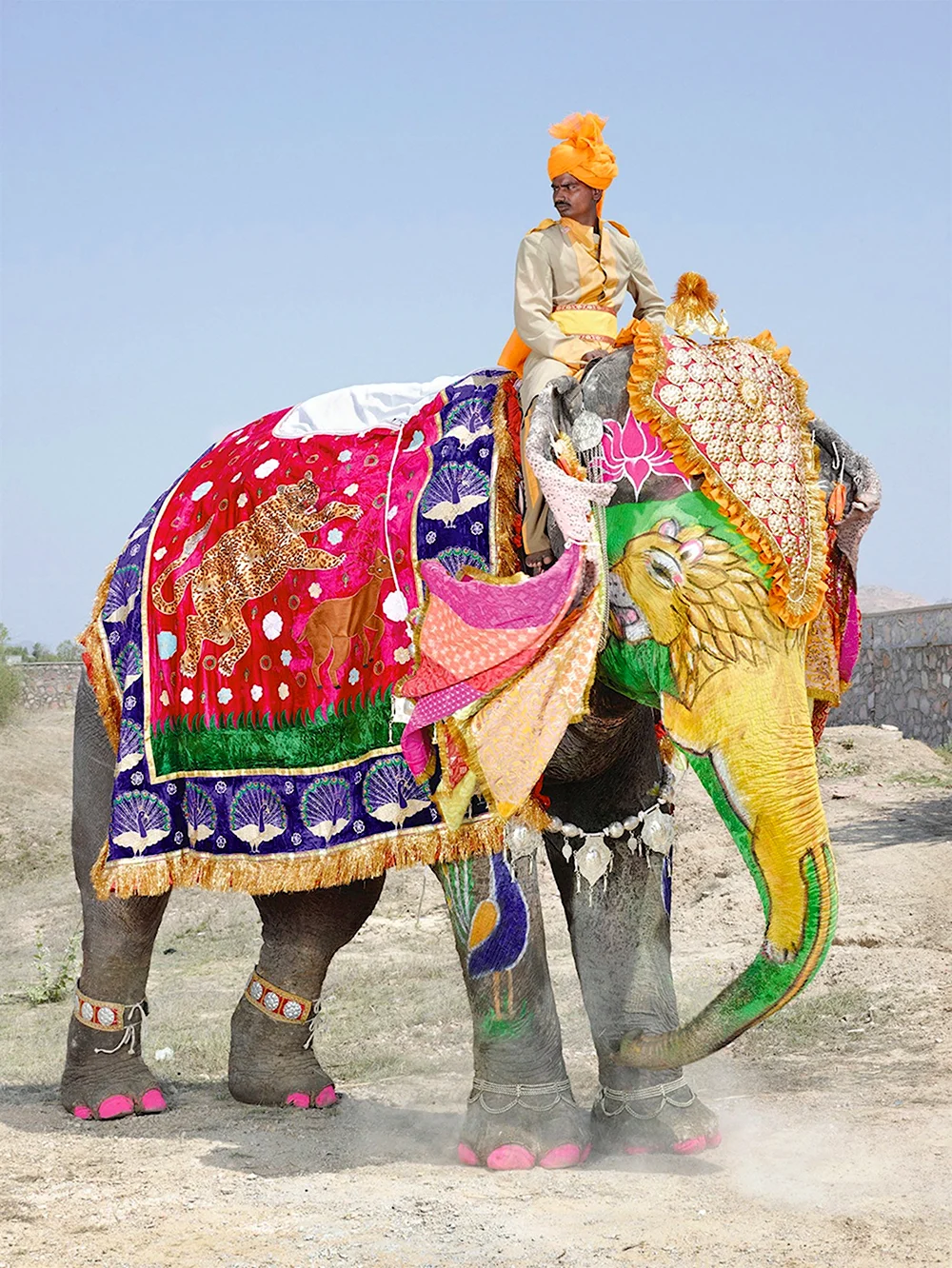 Фестиваль слонов — Джайпур Индия