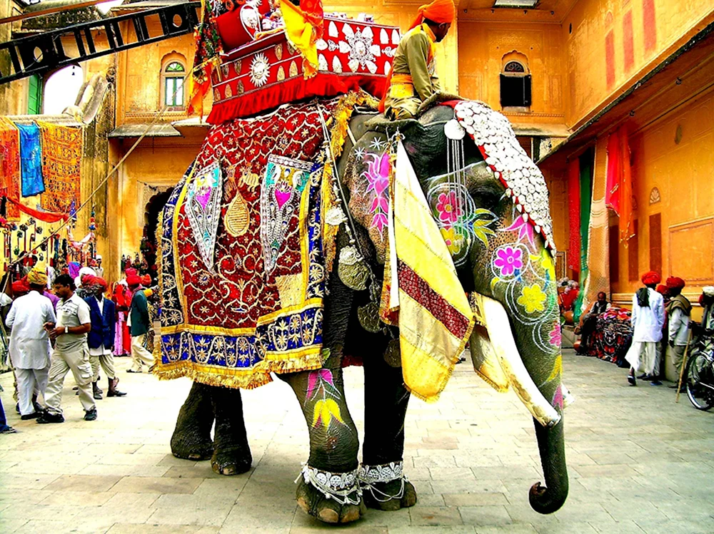 Фестиваль слонов в Джайпуре 2020