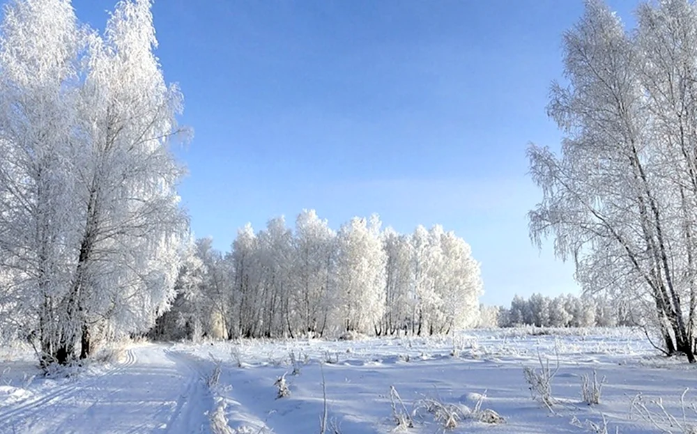 Февральский пейзаж