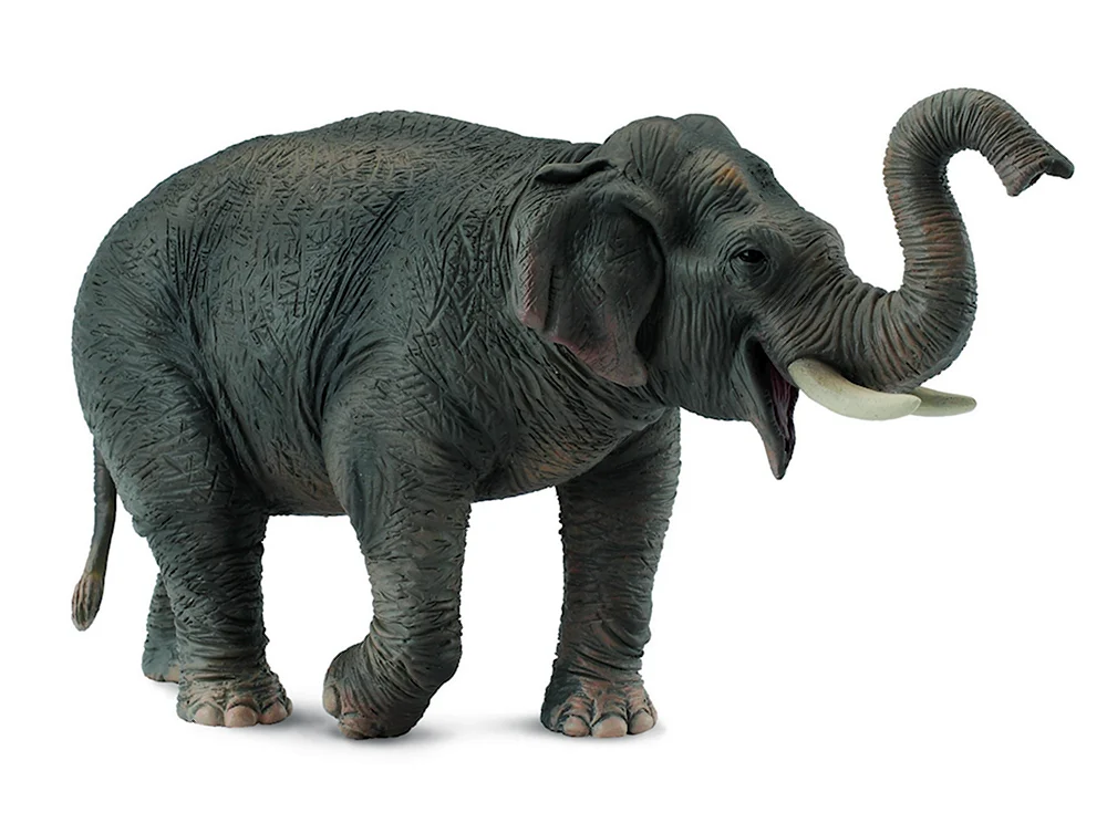 Фигурка Collecta азиатский слон 88486