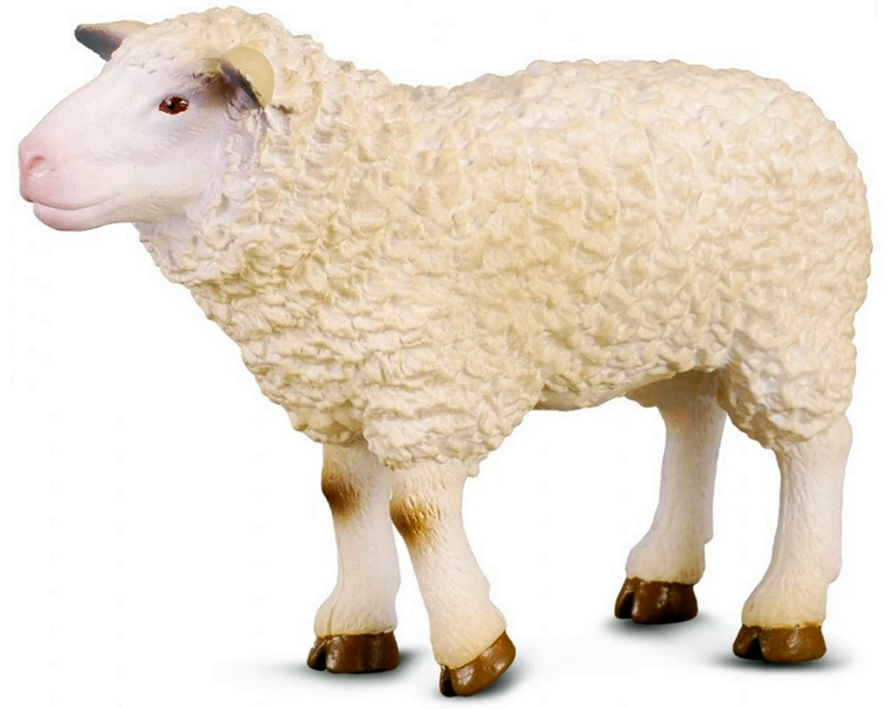 Фигурка Collecta овца 88008