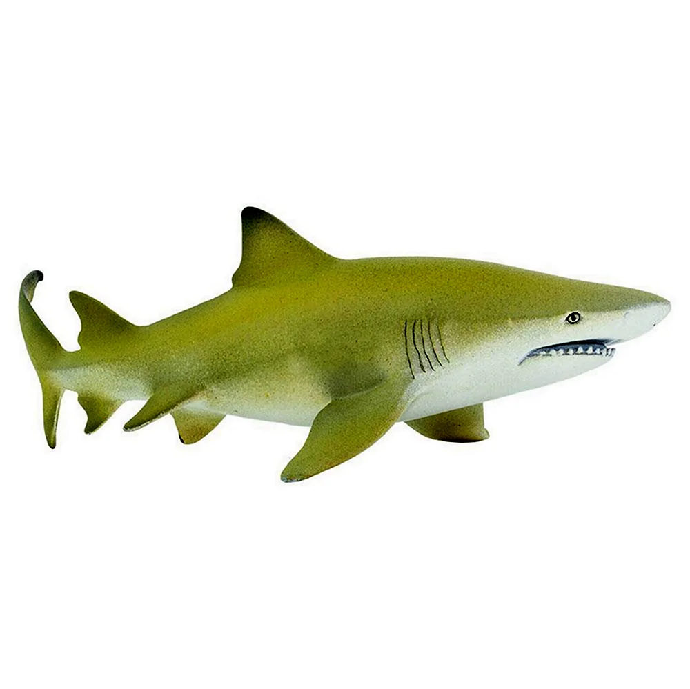 Фигурка Safari Ltd Sea Life акула-бык 422429