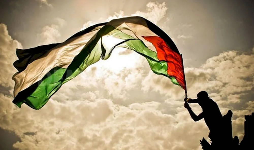 Флаг Палестины палестинец