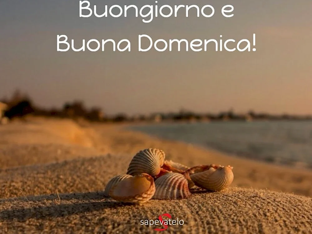 Фото buona domenica