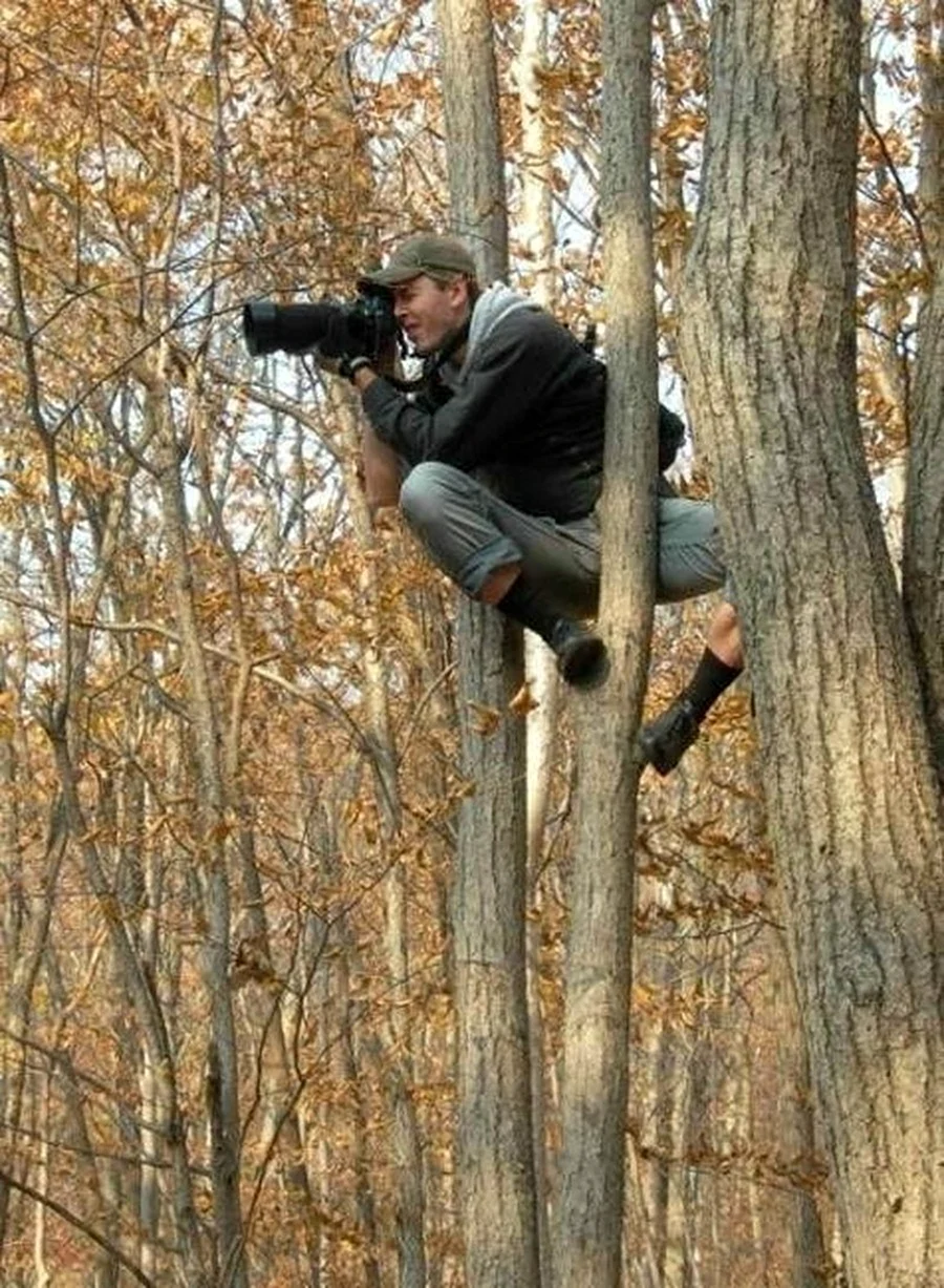 Фотографирует дерево