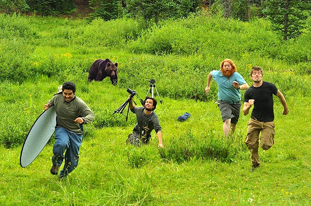 Фотографы бегут от медведя