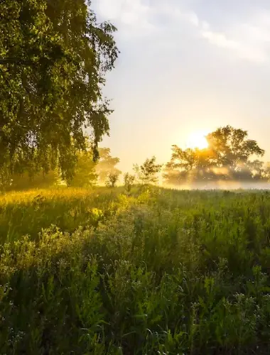 Фотоконкурс летний пейзаж