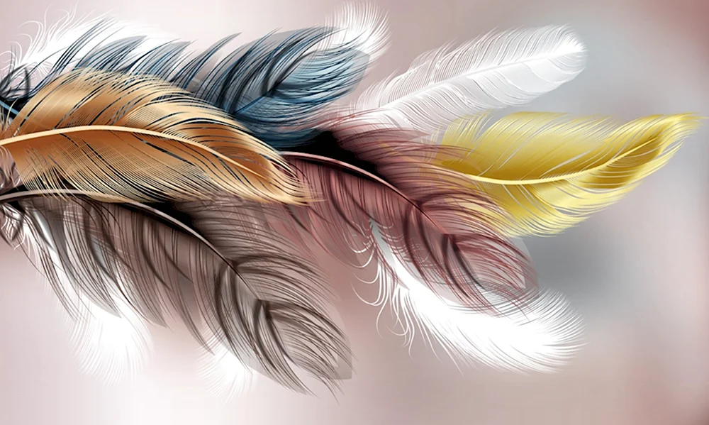 Фотообои радужные перья