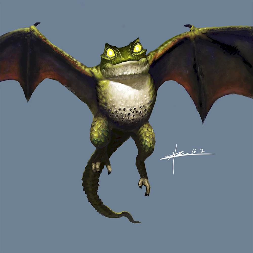 Frog Dragon