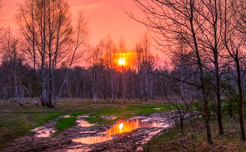 Галанзовская Оксана фотограф