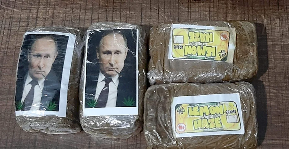 Гашиш с Путиным