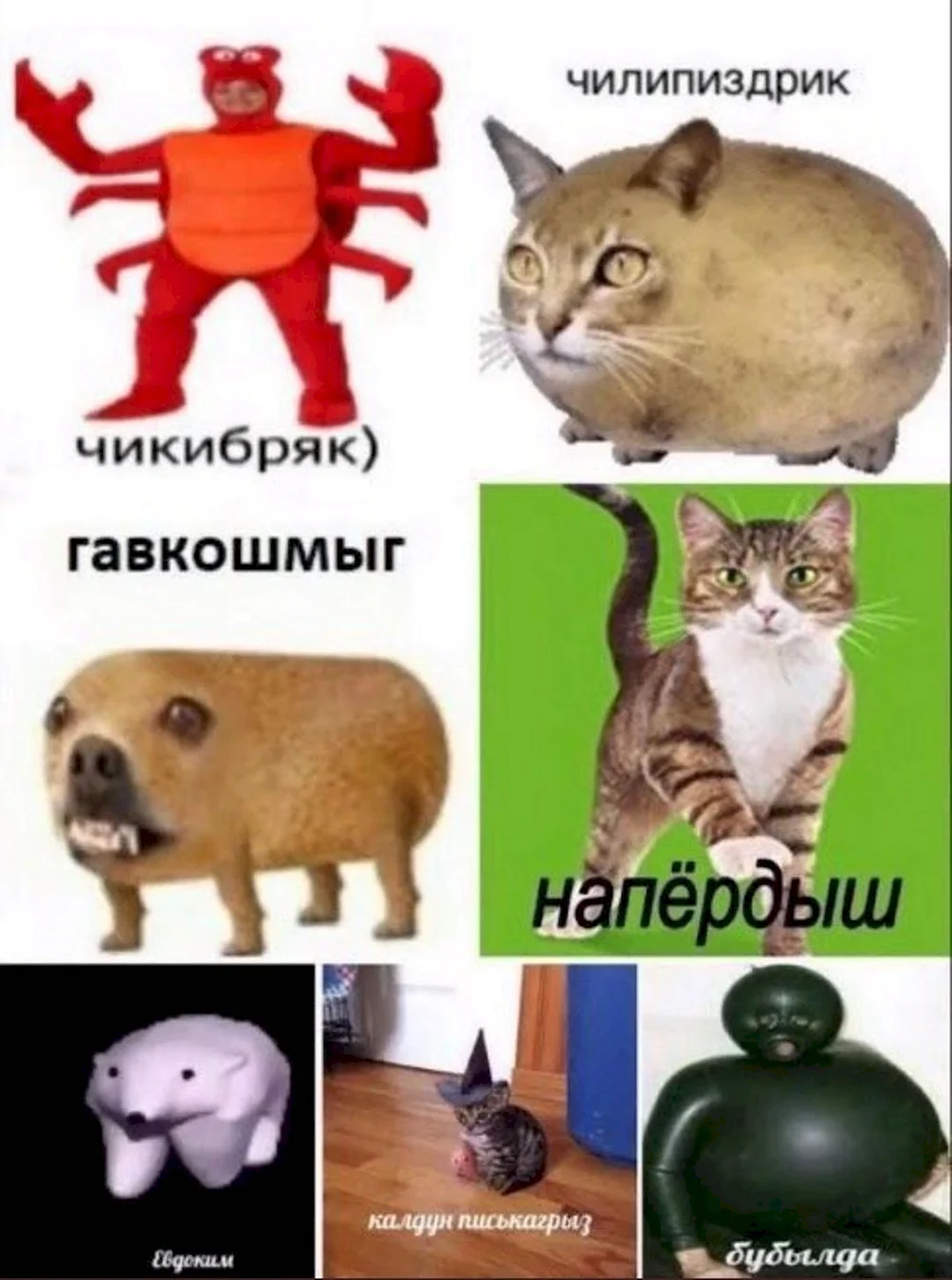 Гавкошмыг Бубылда