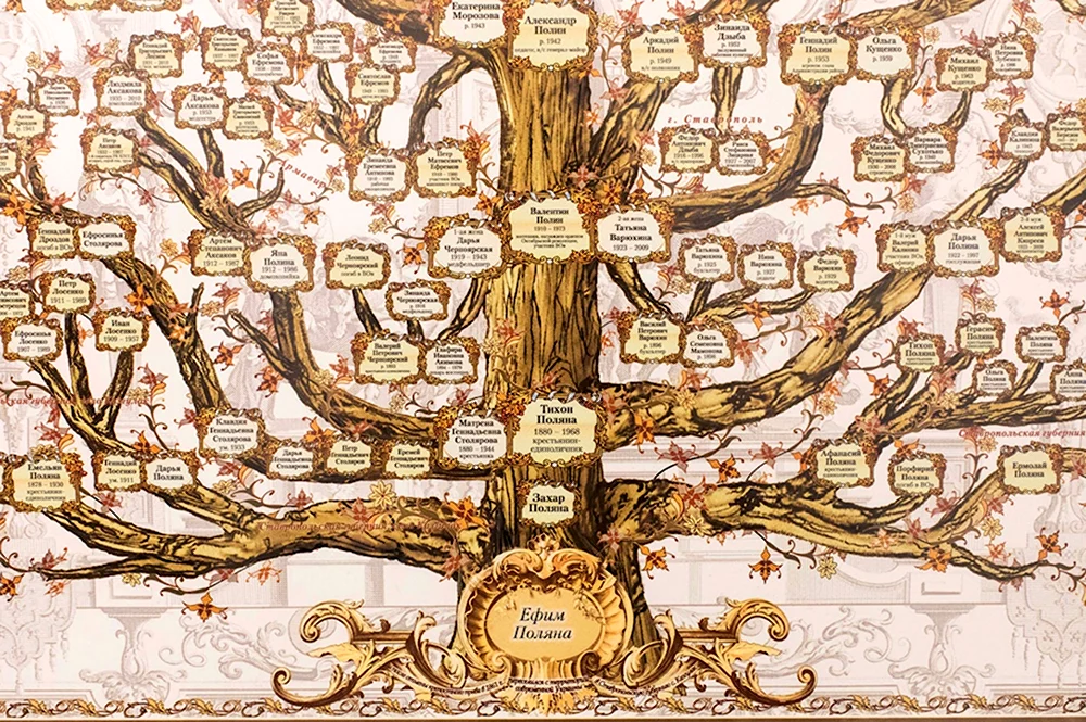 Генеалогическое дерево фамилии Епанчин