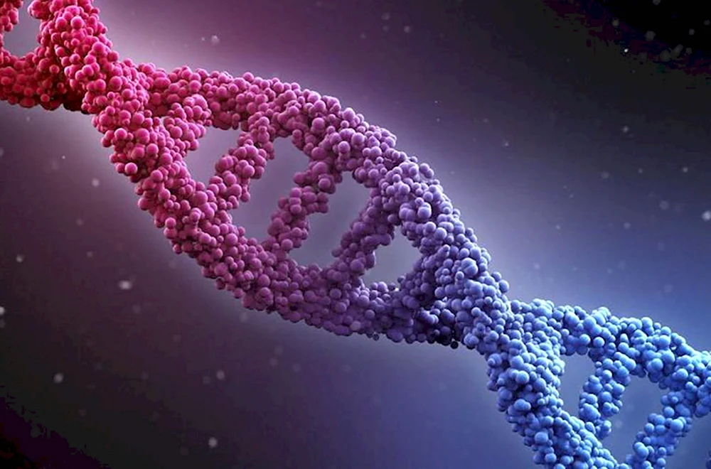 Геномная ДНК