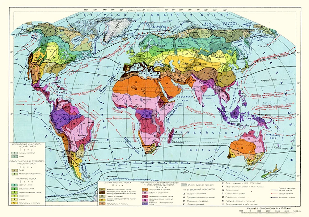 Географические пояса и зоны суши земли карта