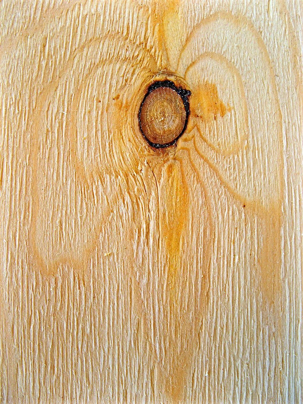 Глазки древесины