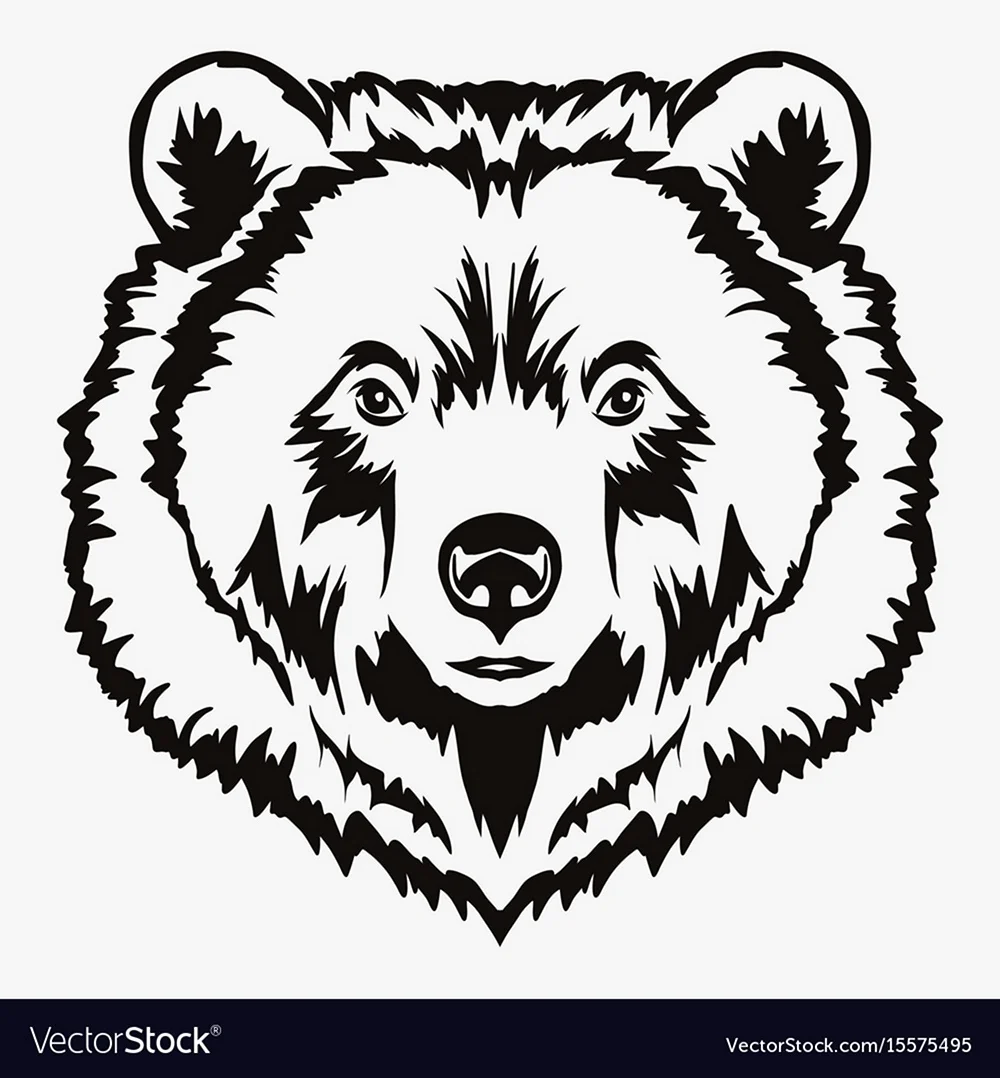Голова медведя рисунок