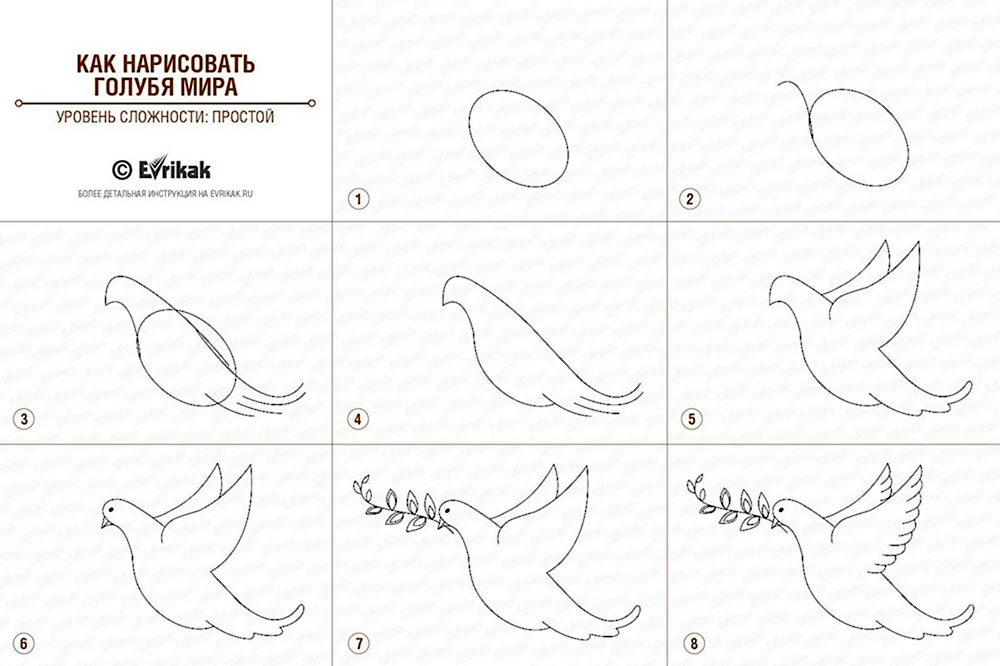 Голубь рисунок поэтапно