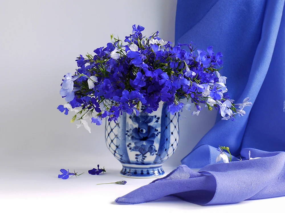 Голубые цветы в вазе