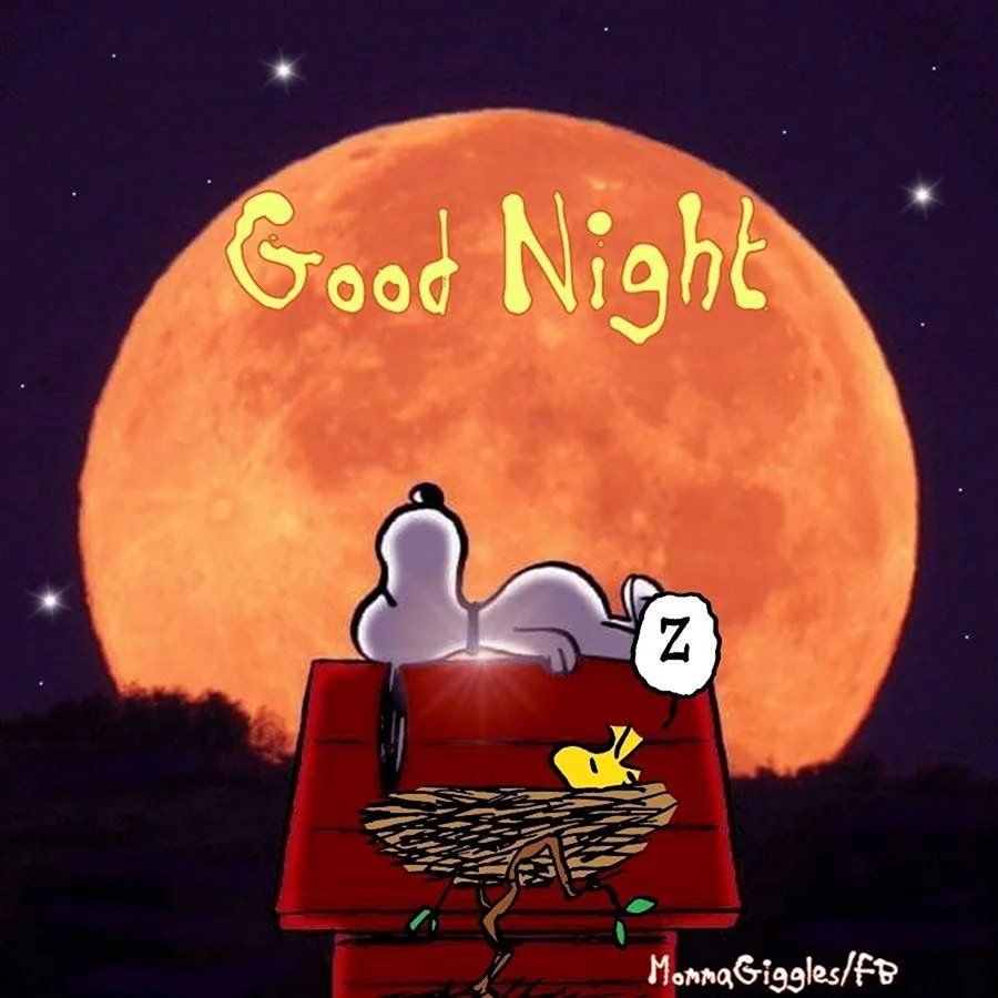 Good Night Snoopy