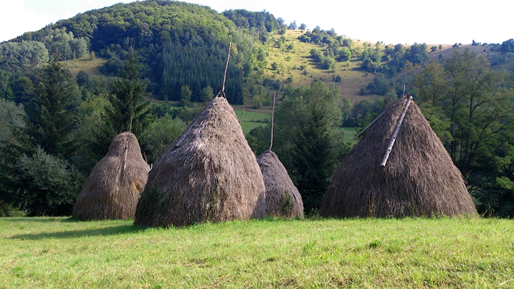 Горное сено