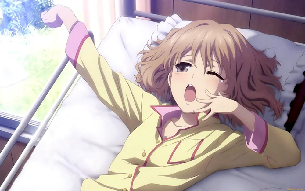 Hanasaku Iroha