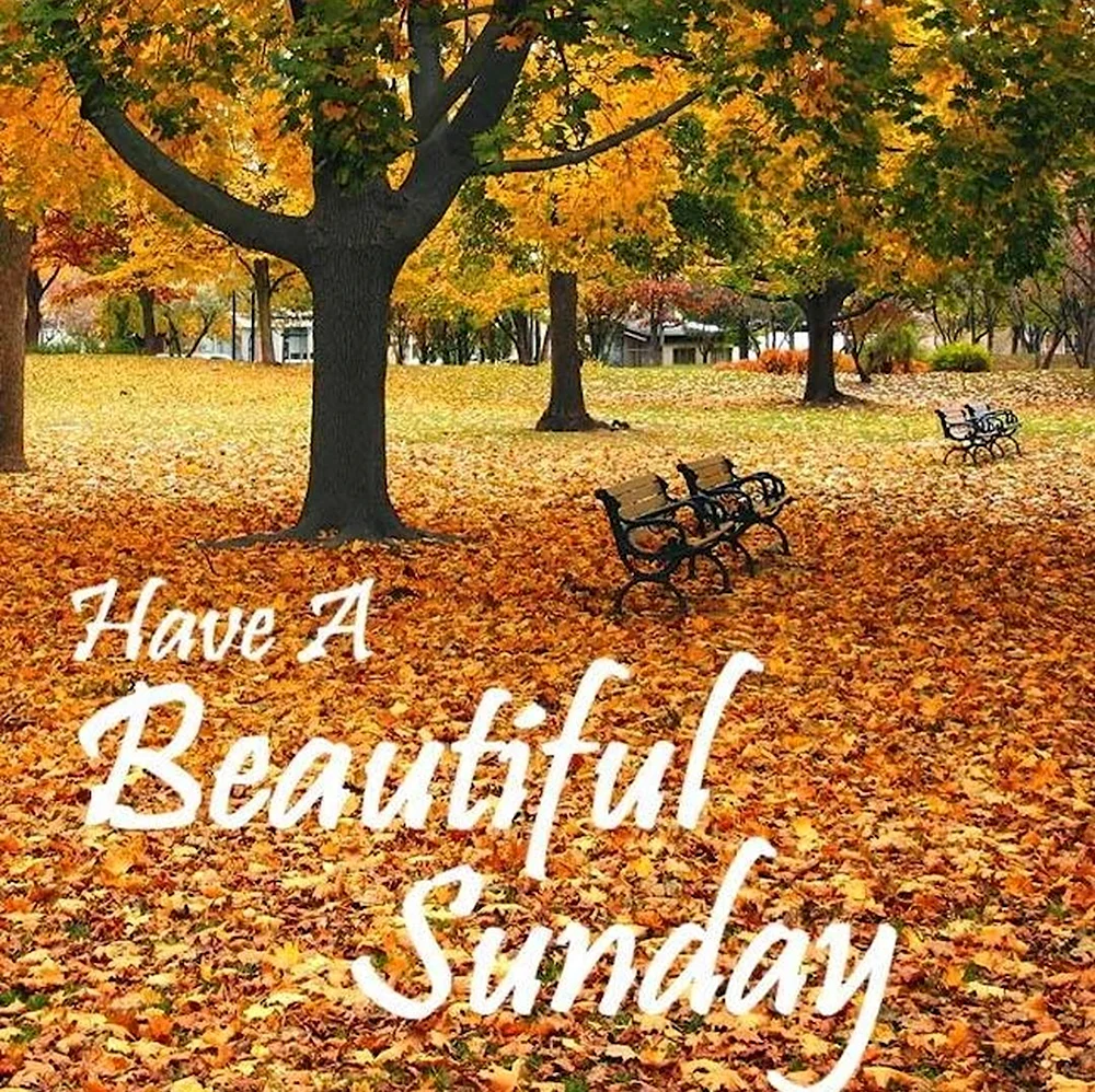 Happy Sunday осенью