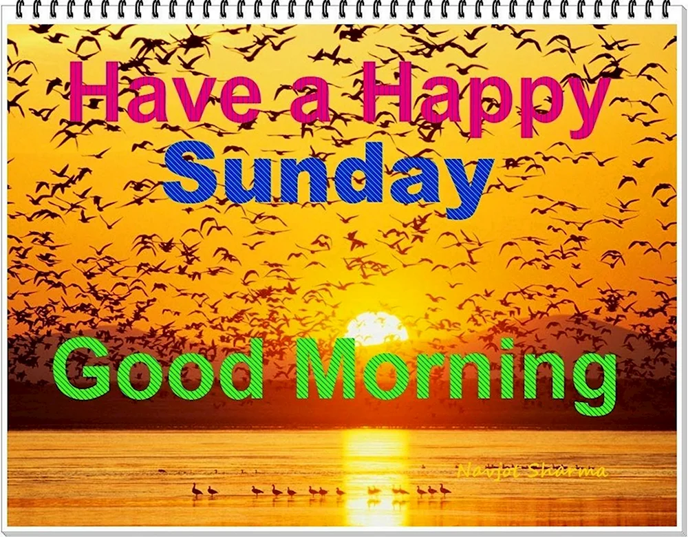 Have a Happy Sunday